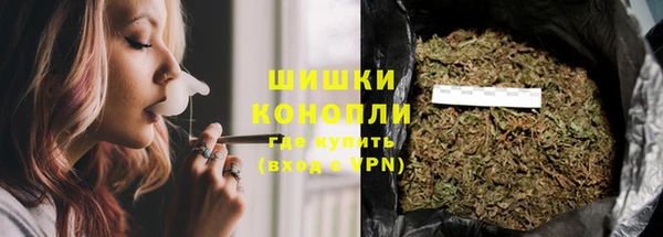 молекула духа Сосновоборск