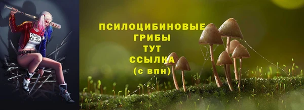 ECSTASY Беломорск