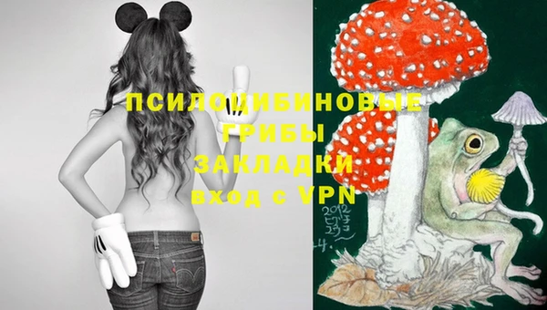 кокаин колумбия Белокуриха